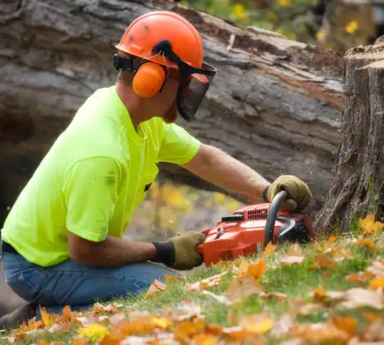 tree services Maryland